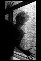 Albert Videt