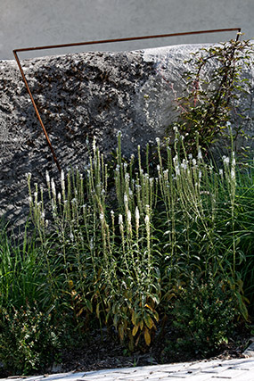 Structure acier corten pour plantes grimpantes - Annecy, parvis du Château-Musée - Haute-Savoie - France - Architecture & Paysagisme - Photographie - 08b