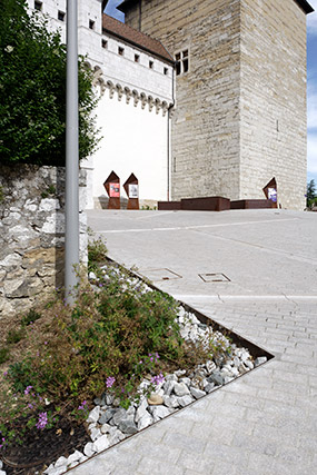 Plantations - Annecy, parvis du Château-Musée - Haute-Savoie - France - Architecture & Paysagisme - Photographie - 12a