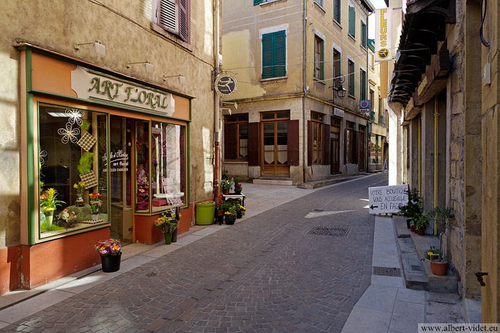 Vieil Arbresle, rue Brossolette - L'Arbresle - Rhône - France - Architecture & Paysagisme - Photographie - 05