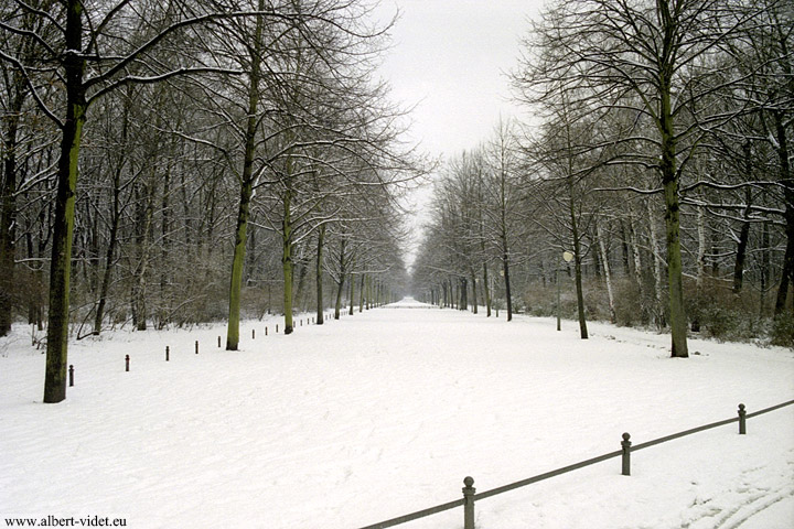 Großer Tiergarten - Tiergarten - Berlin - Allemagne / Deutschland - Carnets de route - Photographie - 00