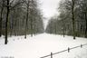 Großer Tiergarten - 00