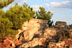Mont Psari / Ipsari, ascension - 04