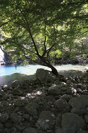 Gorges du Vikos / Farangi Vikou et parc national Vikos-Aoos / Ethnikós Drymós Víkou-Aóou - Pays des Zagoria / Ζαγόρι - Épire / Ípiros / Ήπειρος - Grèce / Elládha / Ελλάδα - Carnets de route - Photographie - 03a