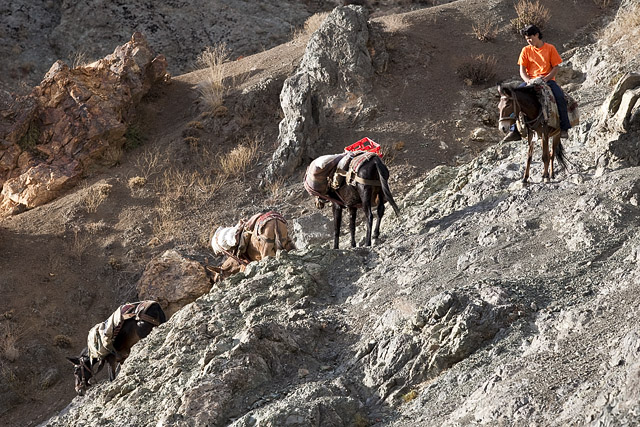 Darband / دربند / Porte fermée, Alborz / Elbourz / Elburz / رشته کوه البرز - Téhéran / تهران - Province de Téhéran / استان تهران - Iran / ايران - Carnets de route - Photographie - 03