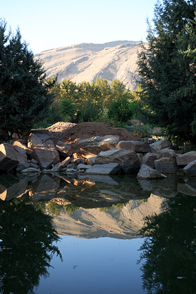 Jardin du Paradis / Bagh-e Eram / باغ ارم - Chiraz / Shiraz / شیراز - Fars / Pars / استان فارس - Iran / ايران - Carnets de route - Photographie - 01b