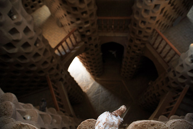 Colombier / Pigeonnier / Fuie / کبوتر خانه - Meybod / میبد - Province de Yazd / استان یزد - Iran / ايران - Carnets de route - Photographie - 02