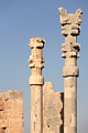 Persépolis, capitale des Achéménides
