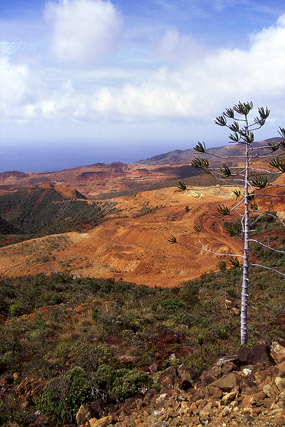 Mine de nickel de Maï - Poro - Grande Terre, Province Nord - Nouvelle-Calédonie - France - Carnets de route - Photographie - 00a