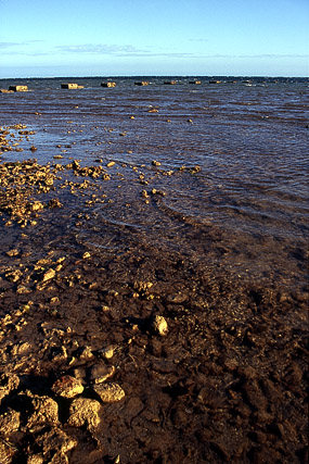 Bord de mer, Nouméa