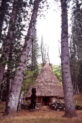 Case du chef kanak Bergé Kawa, tribu de Petit Couli, Sarraméa, de Nouméa à Canala par La Foa, Grande Terre