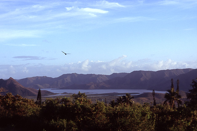 Vallée de Nakety, région de Canala, Grande Terre