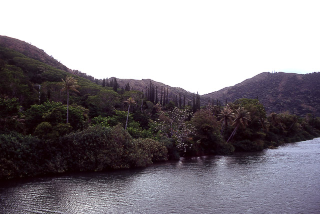 La Ponérihouen