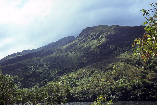 Monts environnants, rivière de la Ouaième - Hienghène - Grande Terre, Province Nord - Nouvelle-Calédonie - France - Carnets de route - Photographie - 05