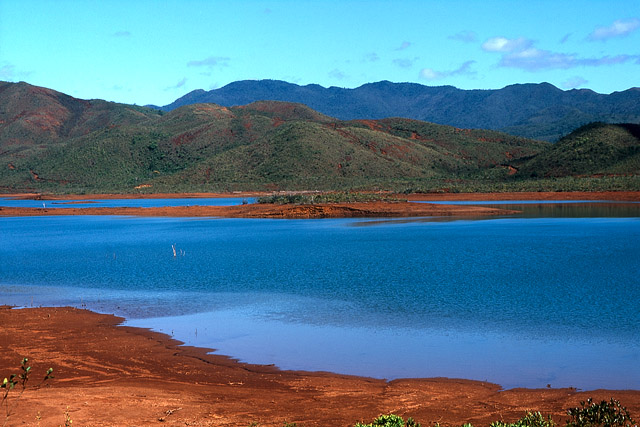 Parc de la Rivière Bleue - Yaté - Grande Terre, Province Sud - Nouvelle-Calédonie - France - Carnets de route - Photographie - 01