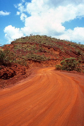 Parc de la Rivière Bleue - Yaté - Grande Terre, Province Sud - Nouvelle-Calédonie - France - Carnets de route - Photographie - 03b