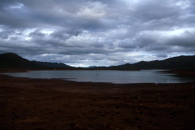 Parc de la Rivière Bleue - Yaté - Grande Terre, Province Sud - Nouvelle-Calédonie - France - Carnets de route - Photographie - 05