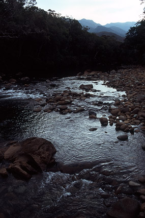 Rivière Bleue - Yaté - Grande Terre, Province Sud - Nouvelle-Calédonie - France - Carnets de route - Photographie - 01b