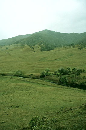 Vallée de la Tchamba - Poindimié - Grande Terre, Province Nord - Nouvelle-Calédonie - France - Carnets de route - Photographie - 00a