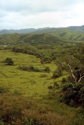 Vallée de la Tchamba - Poindimié - Grande Terre, Province Nord - Nouvelle-Calédonie - France - Carnets de route - Photographie - 00b