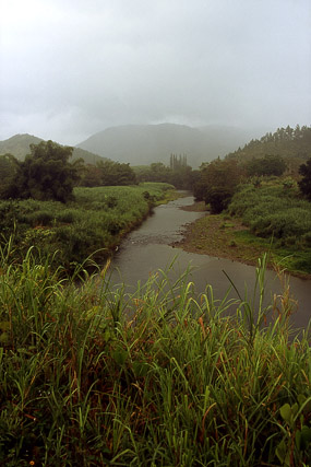 Vallée de la Tchamba - Poindimié - Grande Terre, Province Nord - Nouvelle-Calédonie - France - Carnets de route - Photographie - 01a