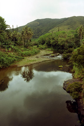 Vallée de la Tchamba - Poindimié - Grande Terre, Province Nord - Nouvelle-Calédonie - France - Carnets de route - Photographie - 01b