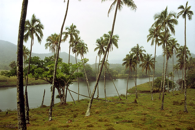 Vallée de la Tchamba - Poindimié - Grande Terre, Province Nord - Nouvelle-Calédonie - France - Carnets de route - Photographie - 02