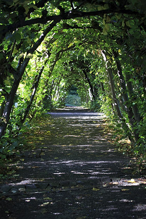 Löwenburg, Bergpark Wilhelmshöhe - Cassel / Kassel - Hesse / Hessen - Allemagne / Deutschland - Sites - Photographie - 08a