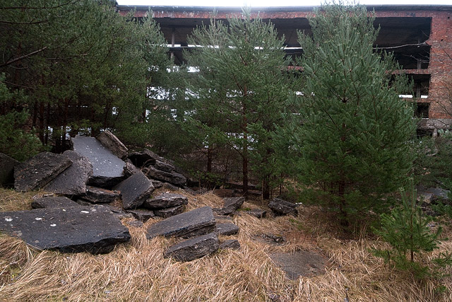 Ruinen und Rohbauzustände, Prora / Ruines et ossatures, Prora - Rügen - Mecklembourg-Poméranie-Occidentale (antérieure) / Mecklenburg-Vorpommern - Allemagne / Deutschland - Sites - Photographie - 12