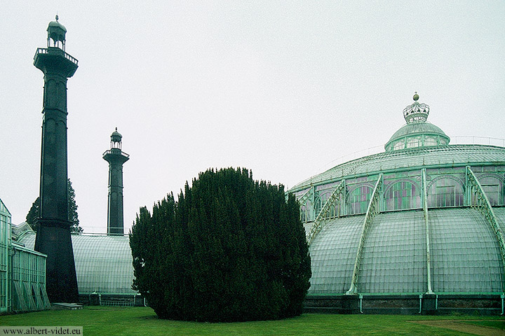 Serres royales de Laeken / Koninklijke Serres van Laken - Laeken / Laken - Bruxelles-Capitale / Brussels Hoofdstedelijk - Belgique / België - Sites - Photographie - 05