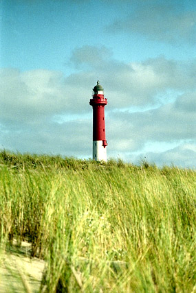 Phare - La Coubre - Charente-Maritime - France - Sites - Photographie - 02