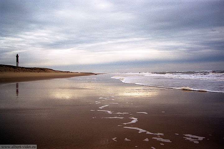 Côte Sauvage, plage - La Coubre - Charente-Maritime - France - Sites - Photographie - 00