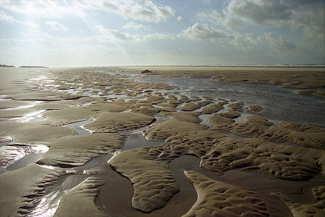 Côte Sauvage, plage - La Coubre - Charente-Maritime - France - Sites - Photographie - 01