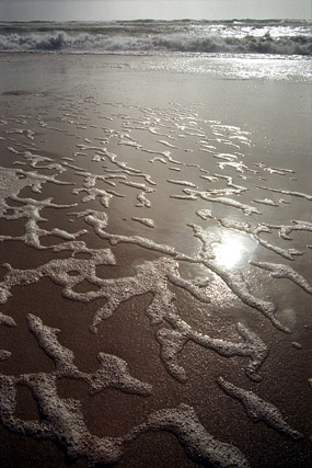 Côte Sauvage, plage - La Coubre - Charente-Maritime - France - Sites - Photographie - 02a