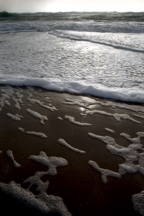 Côte Sauvage, plage - La Coubre - Charente-Maritime - France - Sites - Photographie - 02b