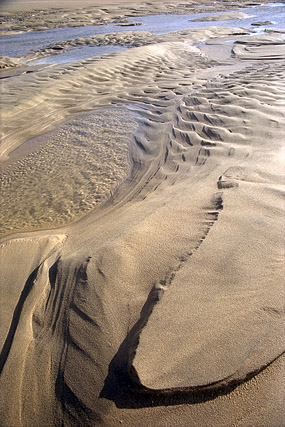 Côte Sauvage, plage - La Coubre - Charente-Maritime - France - Sites - Photographie - 04a