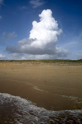 Côte Sauvage, plage - La Coubre - Charente-Maritime - France - Sites - Photographie - 04b