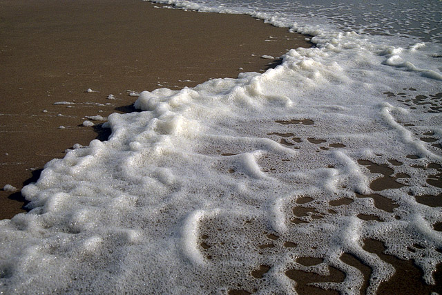 Côte Sauvage, plage - La Coubre - Charente-Maritime - France - Sites - Photographie - 05