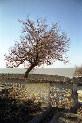 Église Sainte-Radegonde - Talmont-Sur-Gironde - Charente-Maritime - France - Sites - Photographie - 03