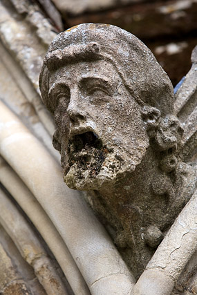 Gargouilles / Gargoyle, Cathédrale / Cathedral - Salisbury - Wiltshire - Angleterre / England - Royaume-Uni / United Kingdom - Sites - Photographie - 03a