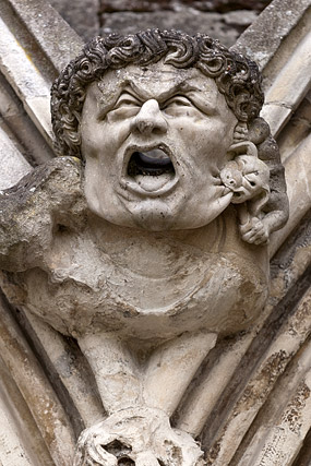 Gargouilles / Gargoyle, Cathédrale / Cathedral - Salisbury - Wiltshire - Angleterre / England - Royaume-Uni / United Kingdom - Sites - Photographie - 03b