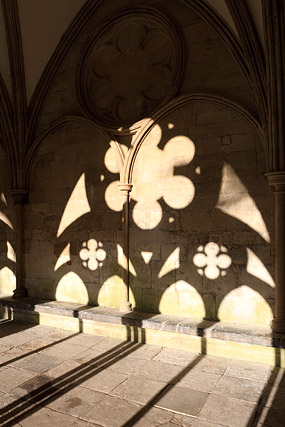 Cloître / Cloister, Cathédrale / Cathedral - Salisbury - Wiltshire - Angleterre / England - Royaume-Uni / United Kingdom - Sites - Photographie - 05b