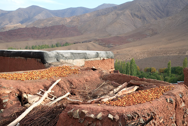 Séchage de pommes, le village - Abyaneh / ابیانه - Province d'Ispahan / استان اصفهان - Iran / ايران - Carnets de route - Photographie - 06