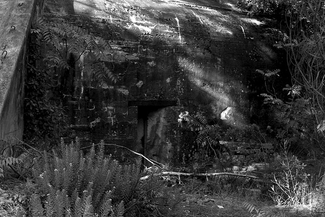 Bunker (Bauwerk) / Casemate - Thèmes - Photographie - 04